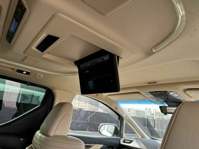 ALPHARD-4