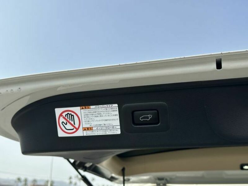 ALPHARD-21
