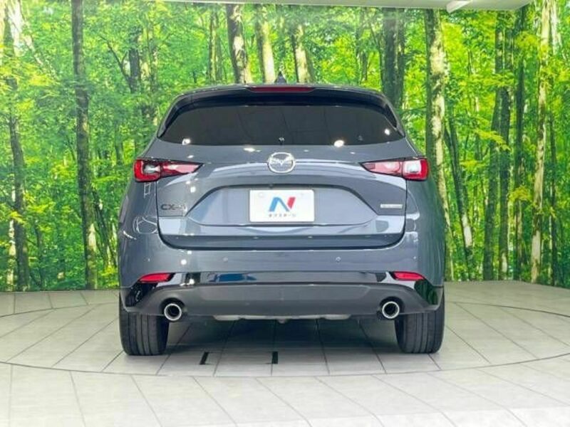 CX-5-14