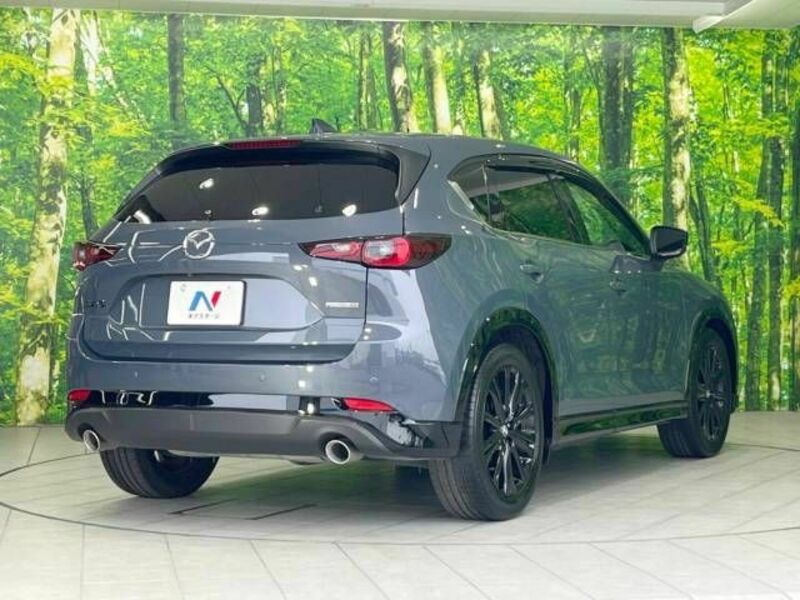 CX-5-16
