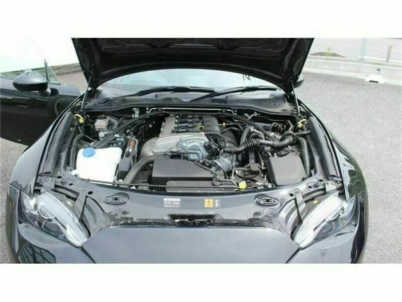 ROADSTER RF-18