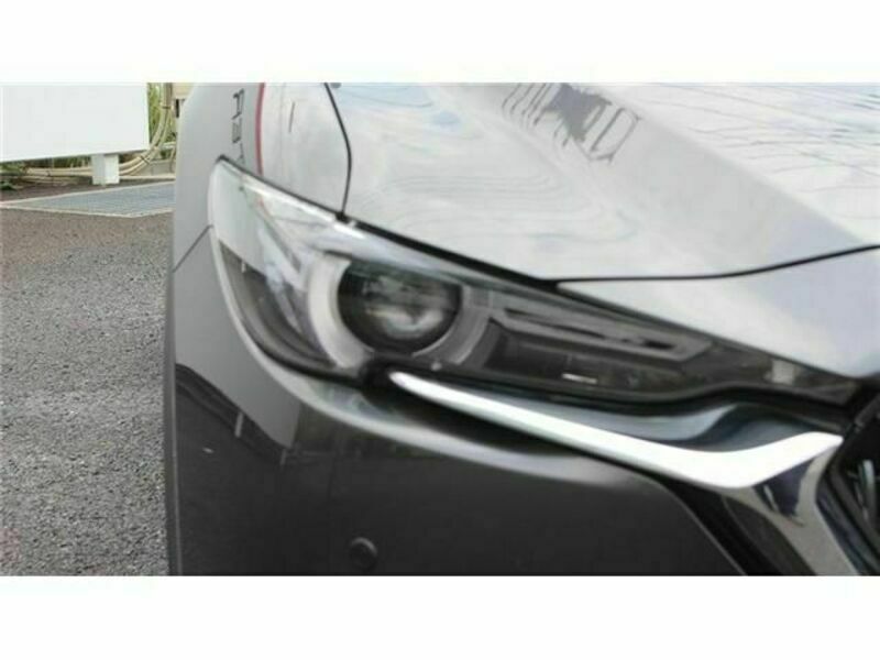 CX-8