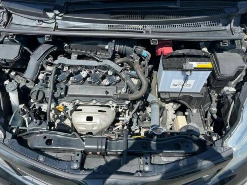 VITZ