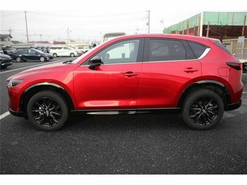 CX-5-6
