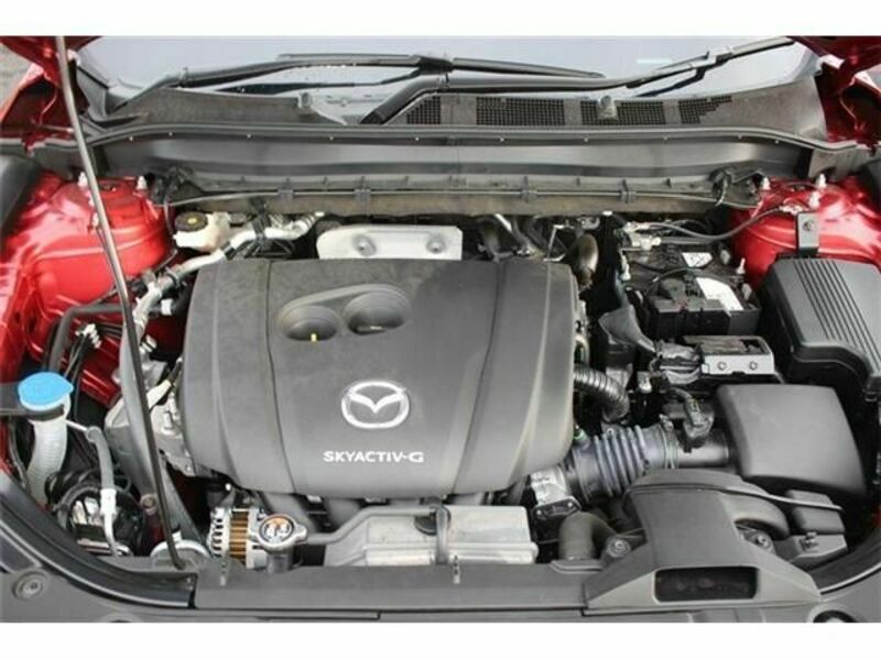 CX-5-18