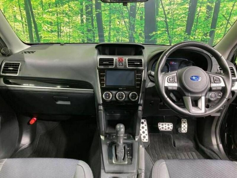FORESTER-1