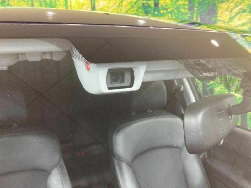 FORESTER-5