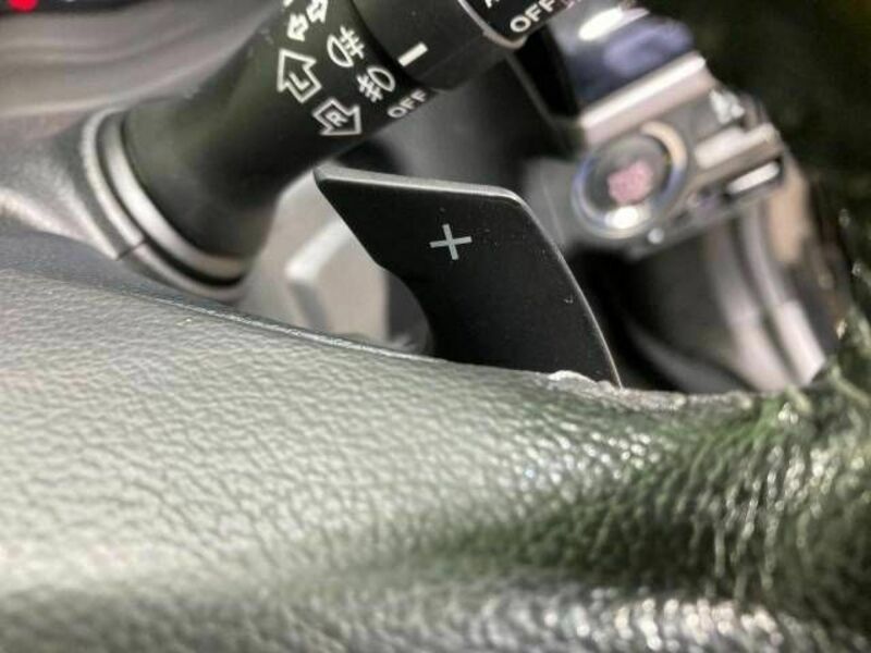 FORESTER-7