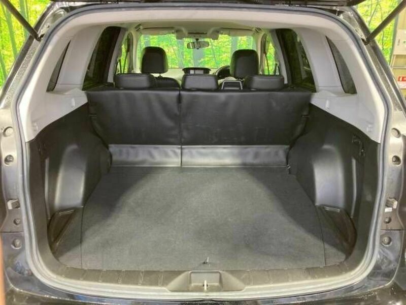 FORESTER-11