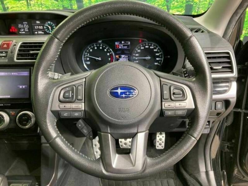 FORESTER-12