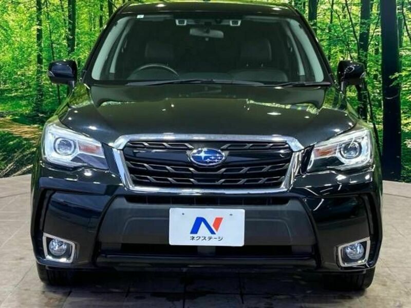 FORESTER-15
