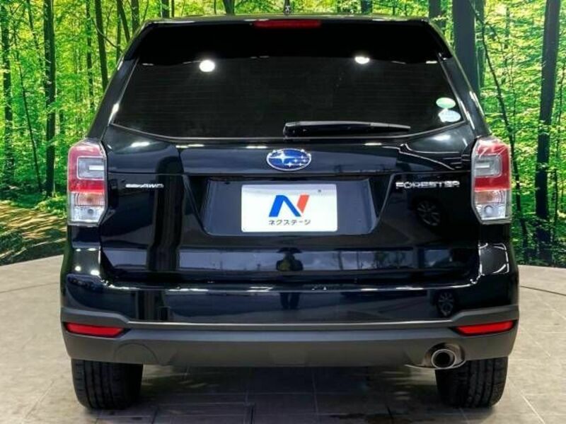 FORESTER-16