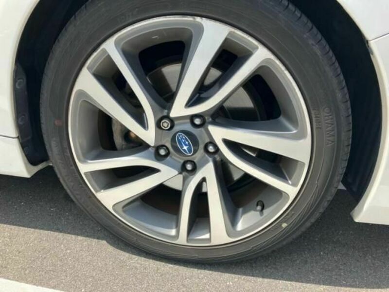 LEVORG-4
