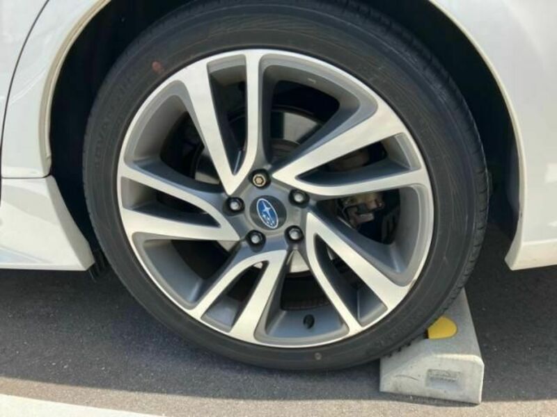 LEVORG-6