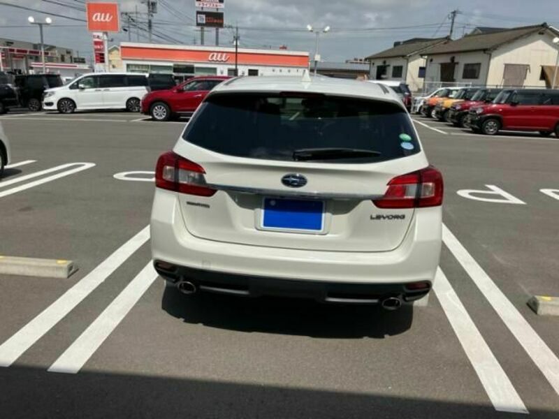 LEVORG-8