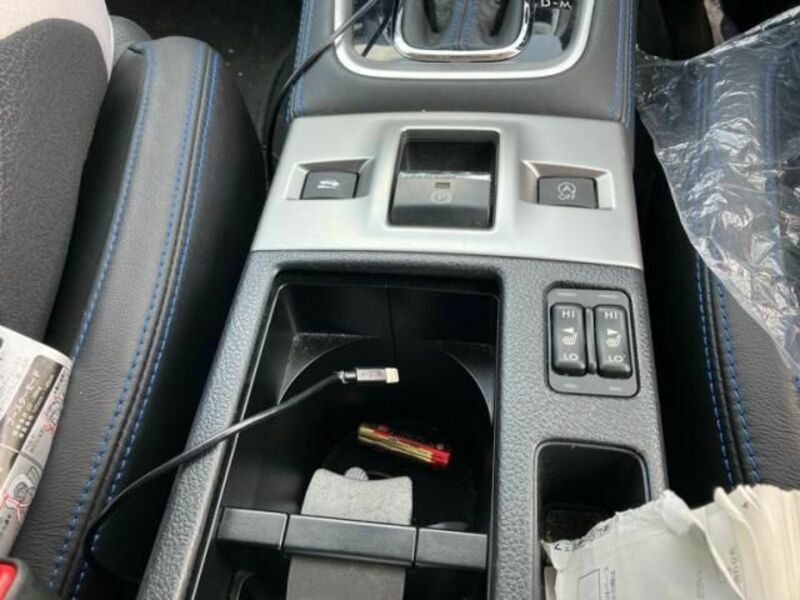 LEVORG-17