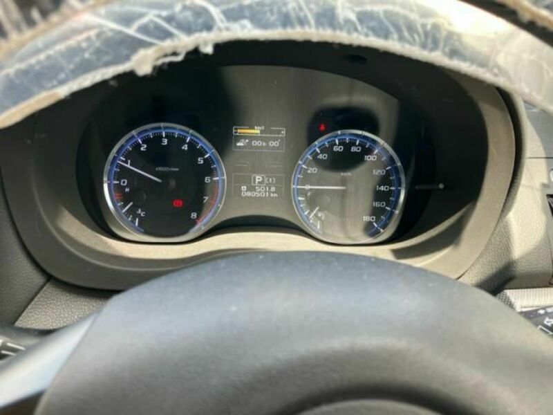 LEVORG-19