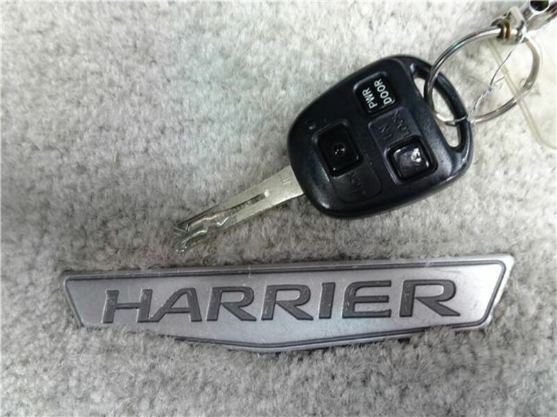 HARRIER
