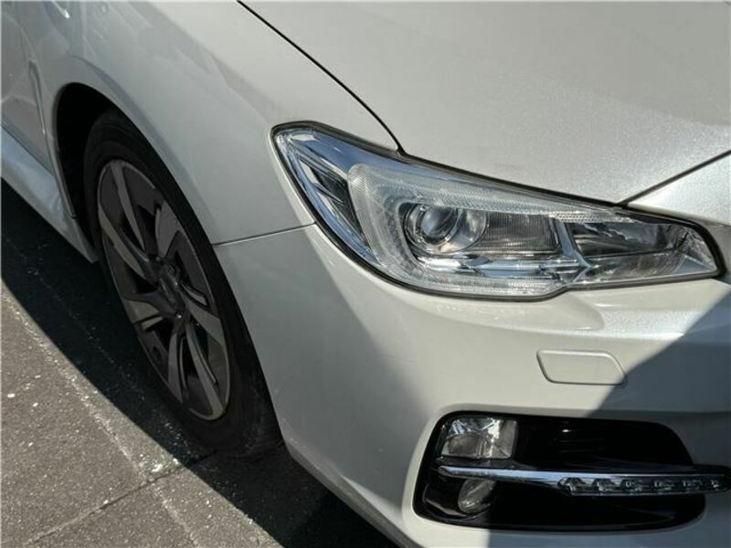 LEVORG-3