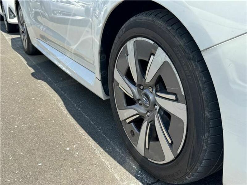 LEVORG-4