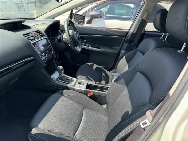 LEVORG-10