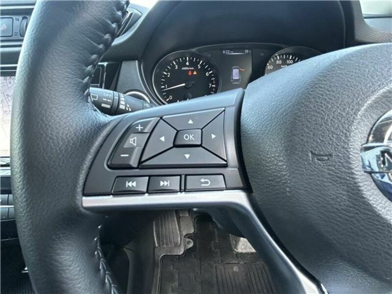 X-TRAIL-6