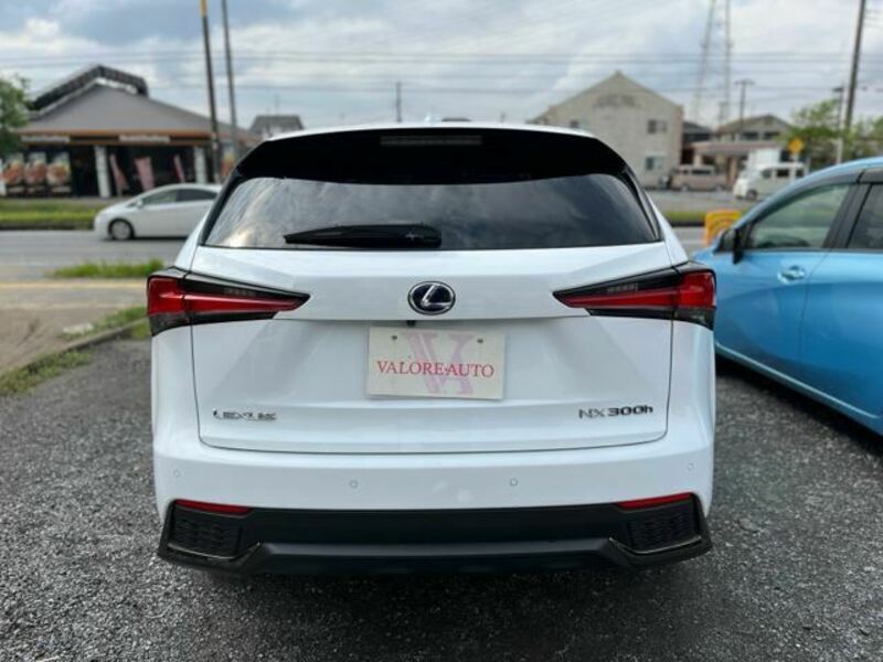 NX