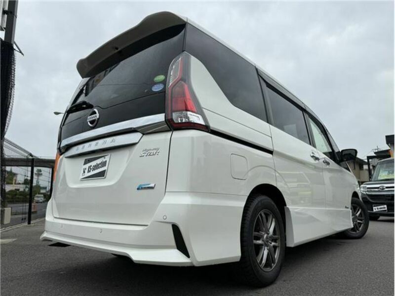 SERENA-46