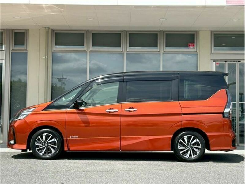 SERENA-28