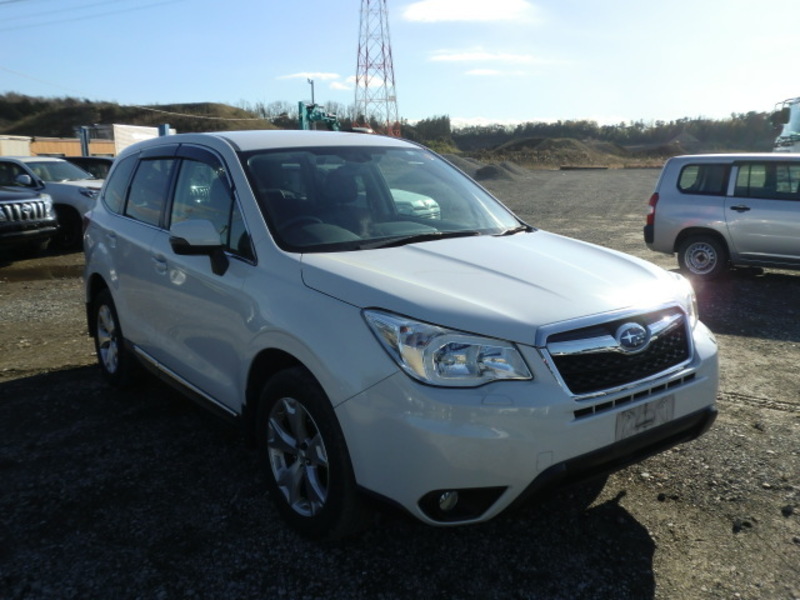 FORESTER-14
