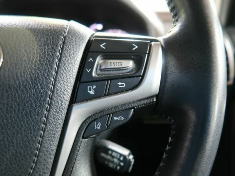 LAND CRUISER PRADO-18