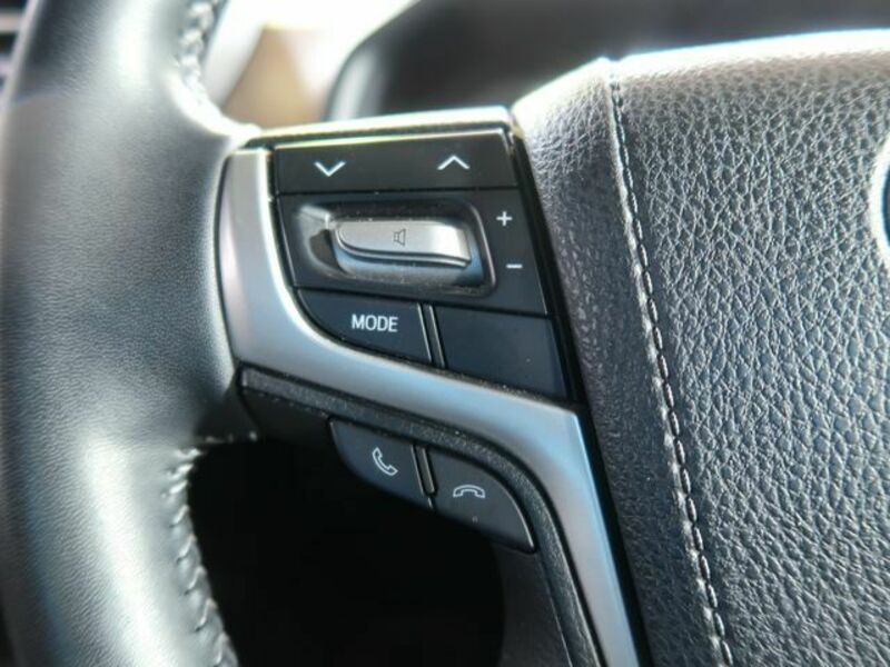 LAND CRUISER PRADO-19