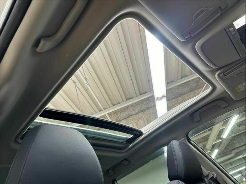 FORESTER-4