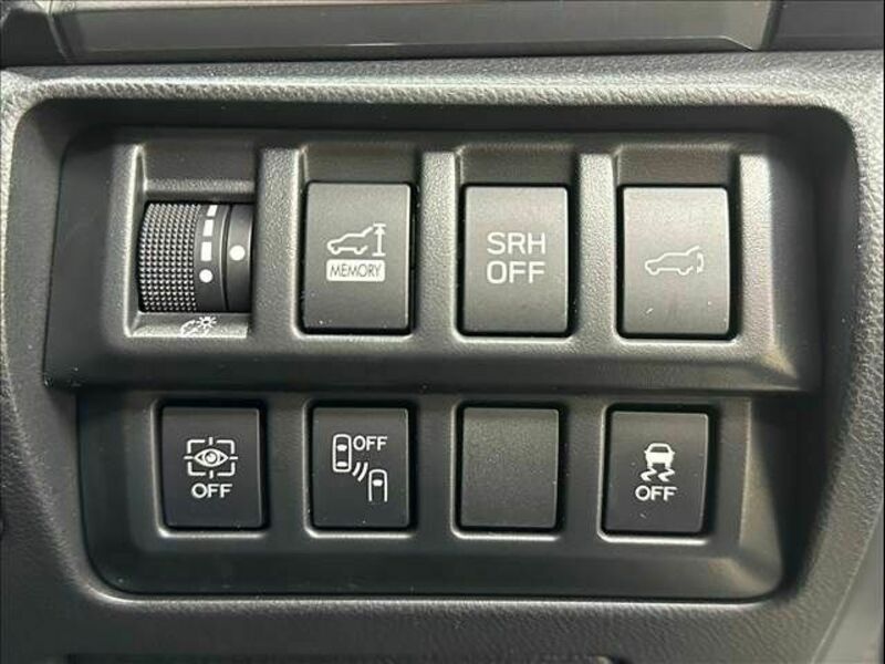 FORESTER-6