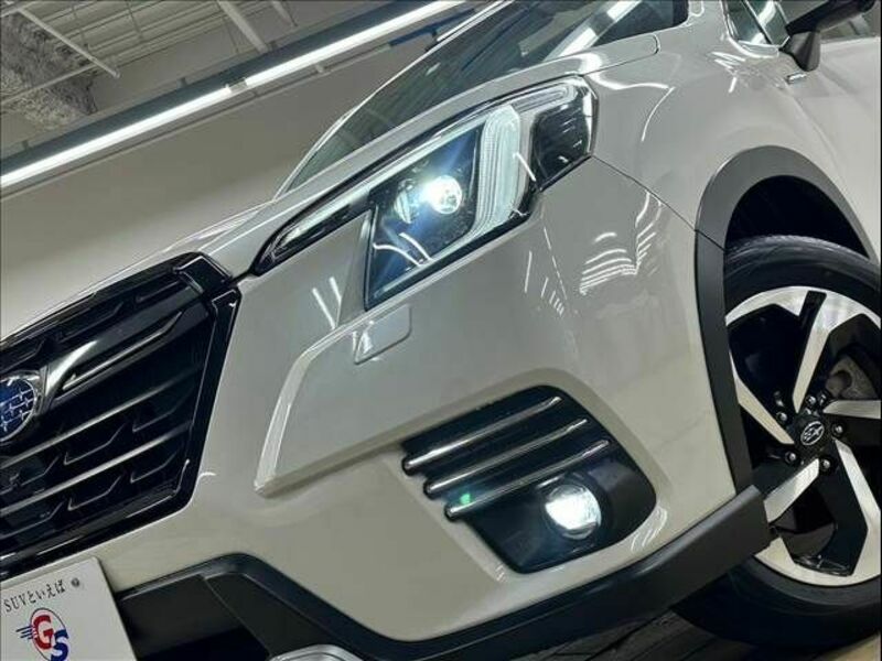 FORESTER-9
