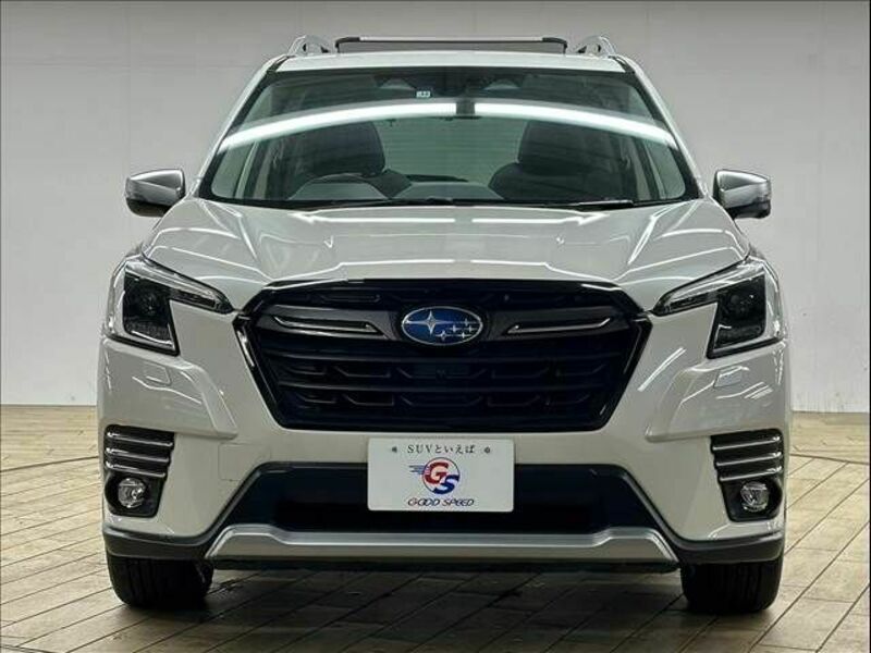 FORESTER-16