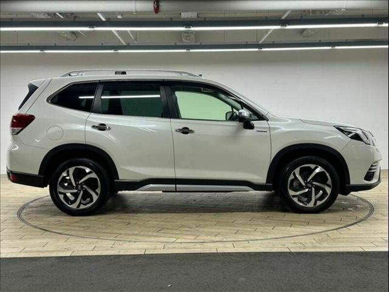 FORESTER-17