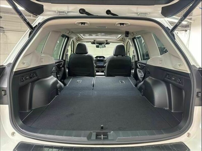 FORESTER-19