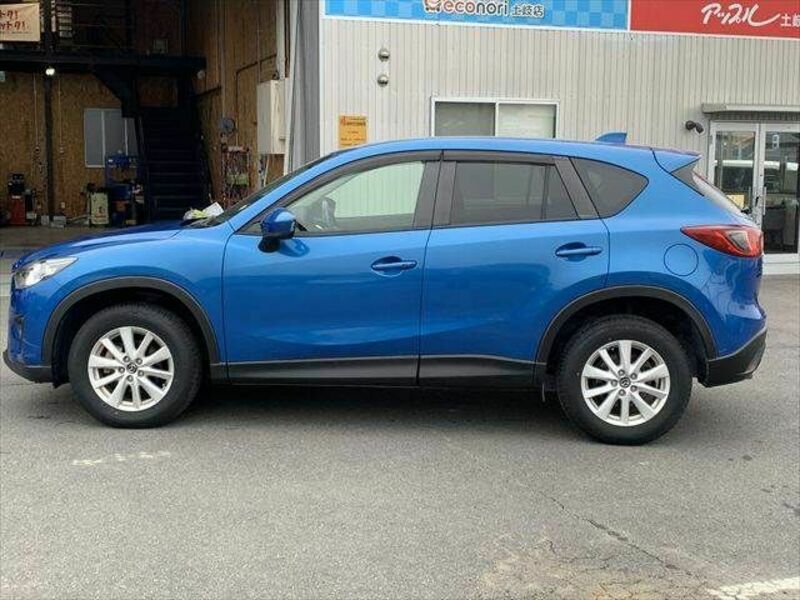 CX-5-19