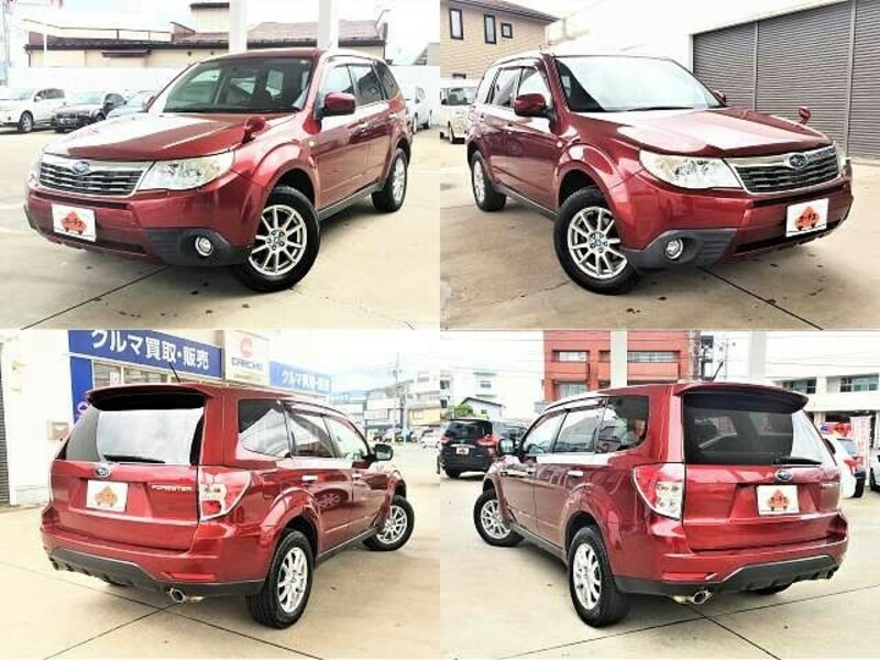 FORESTER