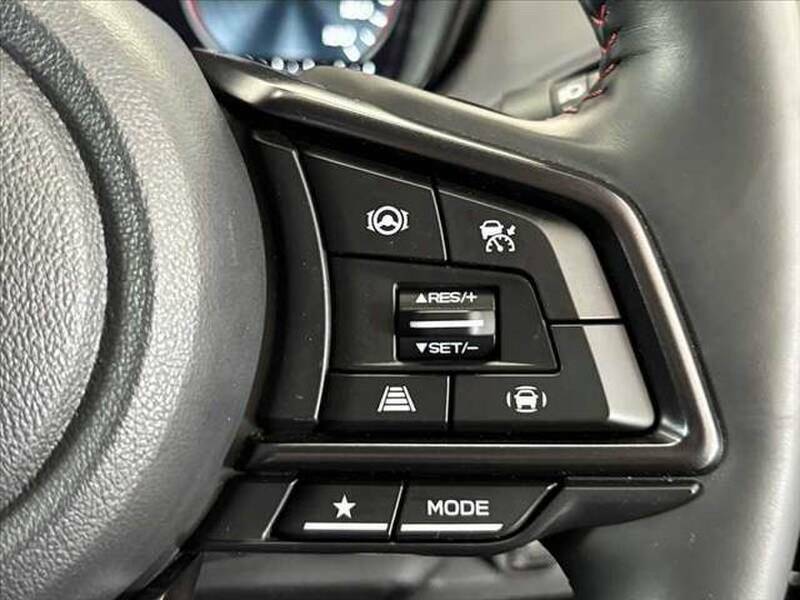 LEVORG-4