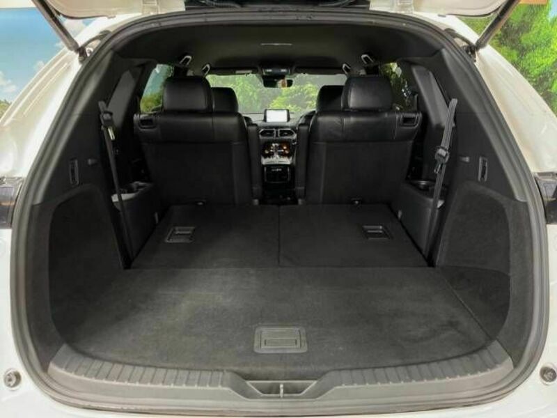 CX-8-11