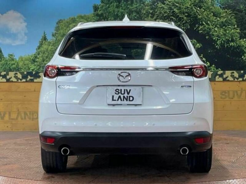 CX-8-15