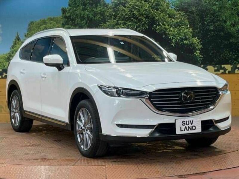 CX-8-16