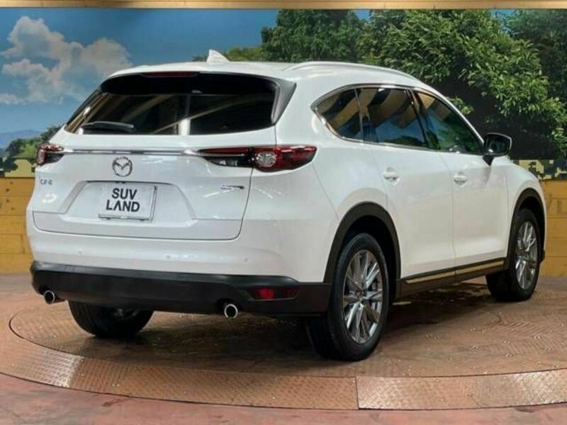 CX-8-17