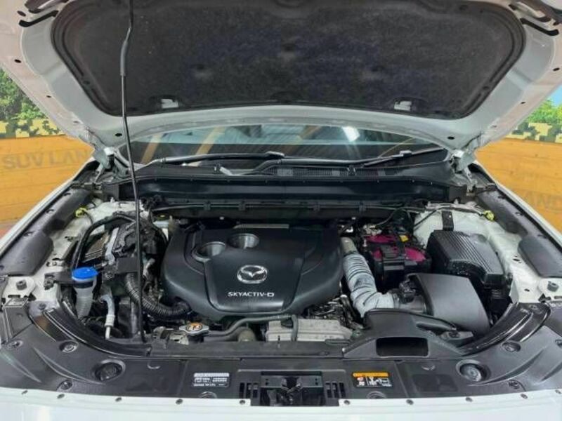 CX-8-18
