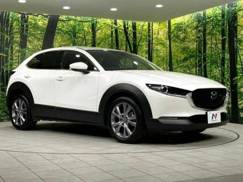 CX-30