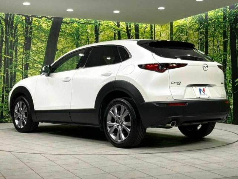 CX-30