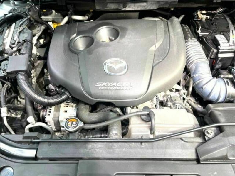 CX-5-18