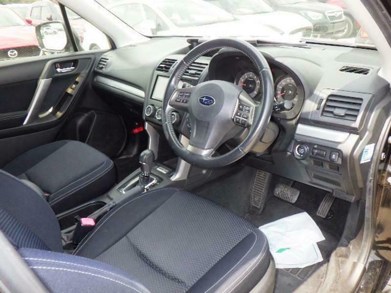 FORESTER